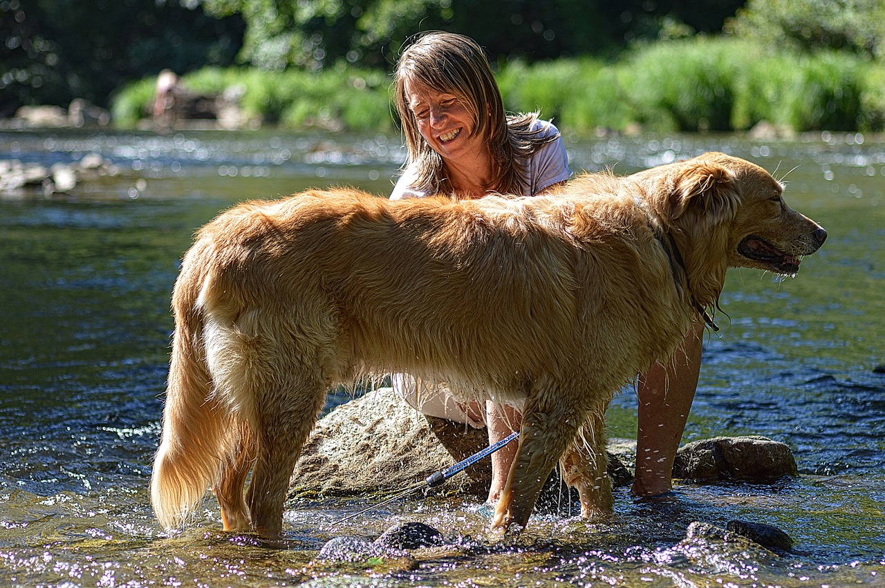 Golden Glamour: Grooming Tips to Keep Your Golden Retriever Looking and Feeling Fabulous